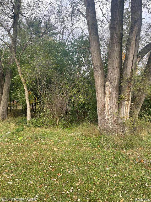 0000 Reed Lake Road - Photo 1