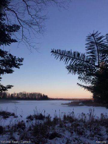 https://bt-photos.global.ssl.fastly.net/michigan/orig_boomver_1_651870687-2.jpg