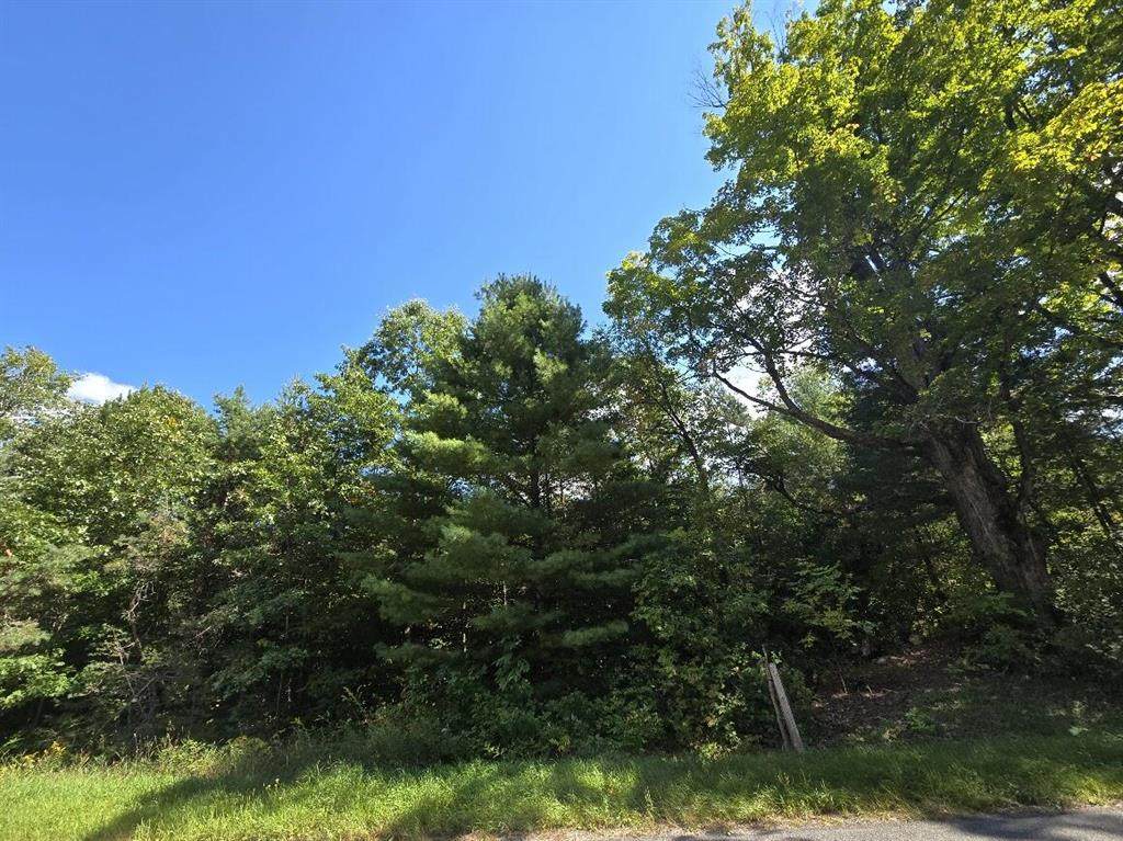 00 Hawkins Road - Photo 1