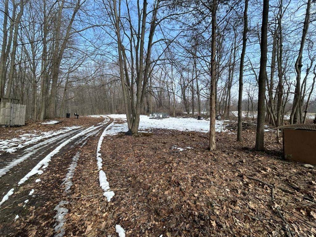https://bt-photos.global.ssl.fastly.net/michigan/orig_boomver_1_651886987-2.jpg
