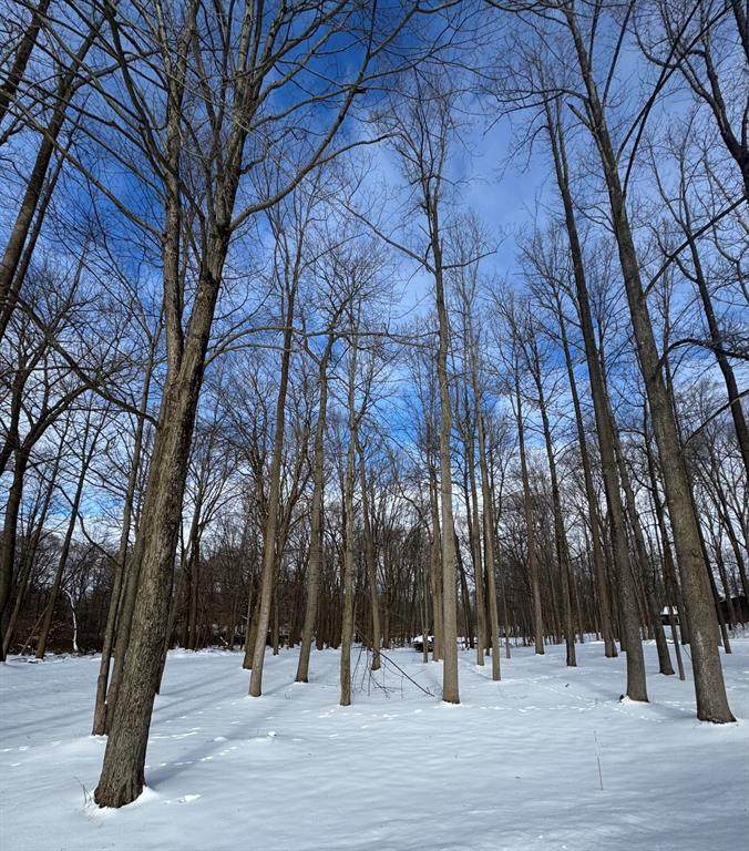 V/L Timberlane Drive - Photo 1