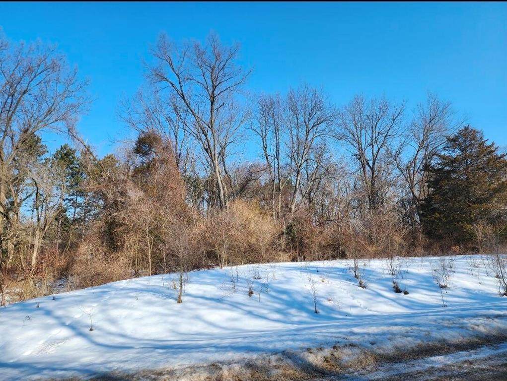  Shorewood Drive - Photo 1