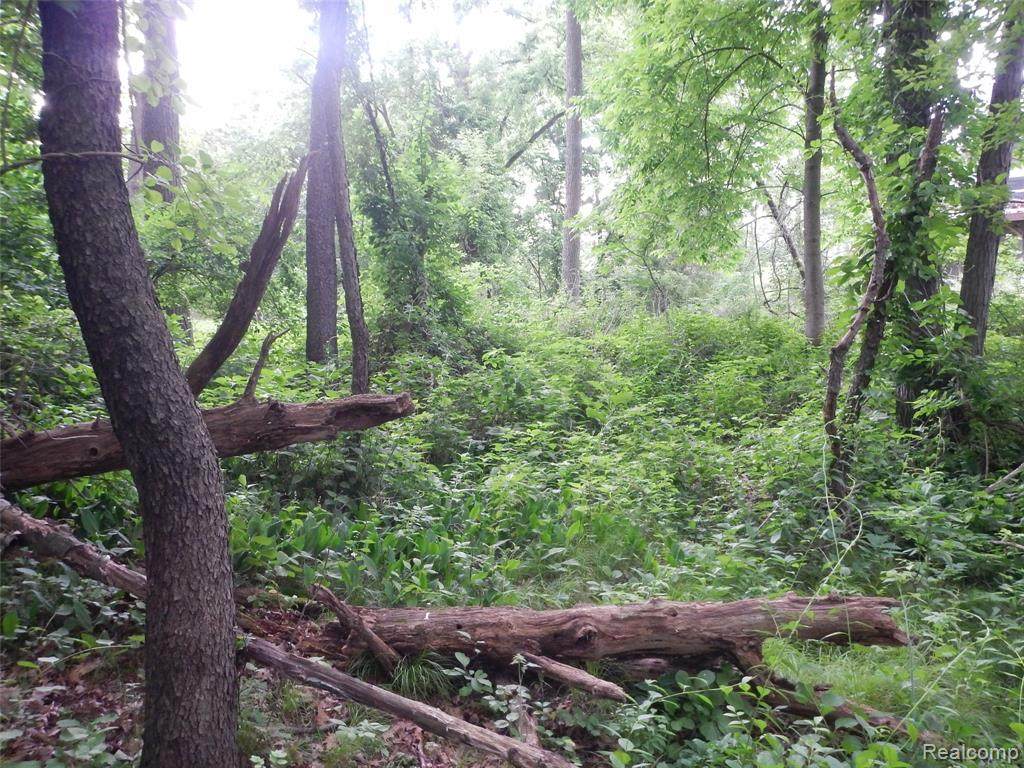 0000 Johnson Drive - Photo 1
