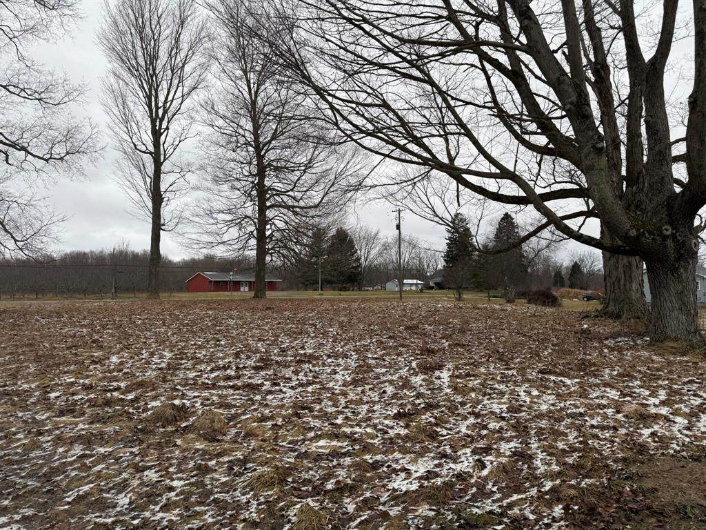 24990 County Road 687 - Photo 1