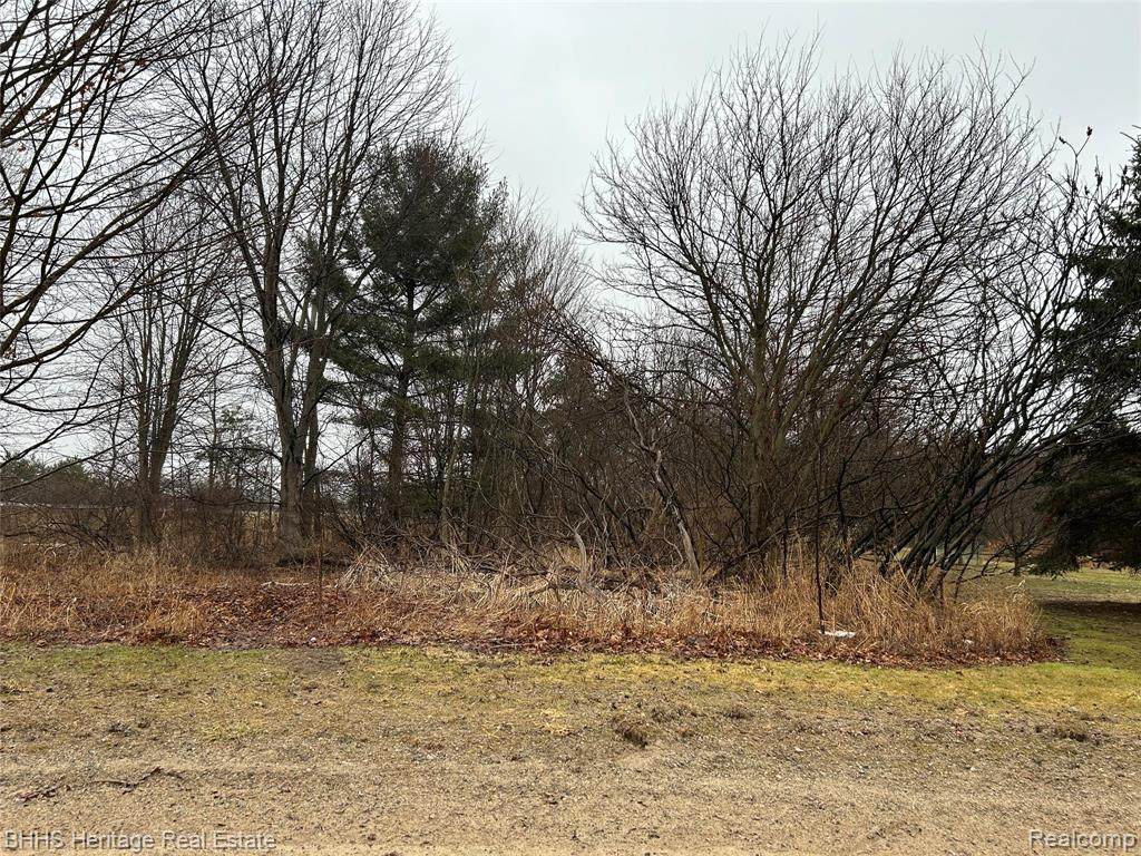 0 Cedar Rd - Photo 1