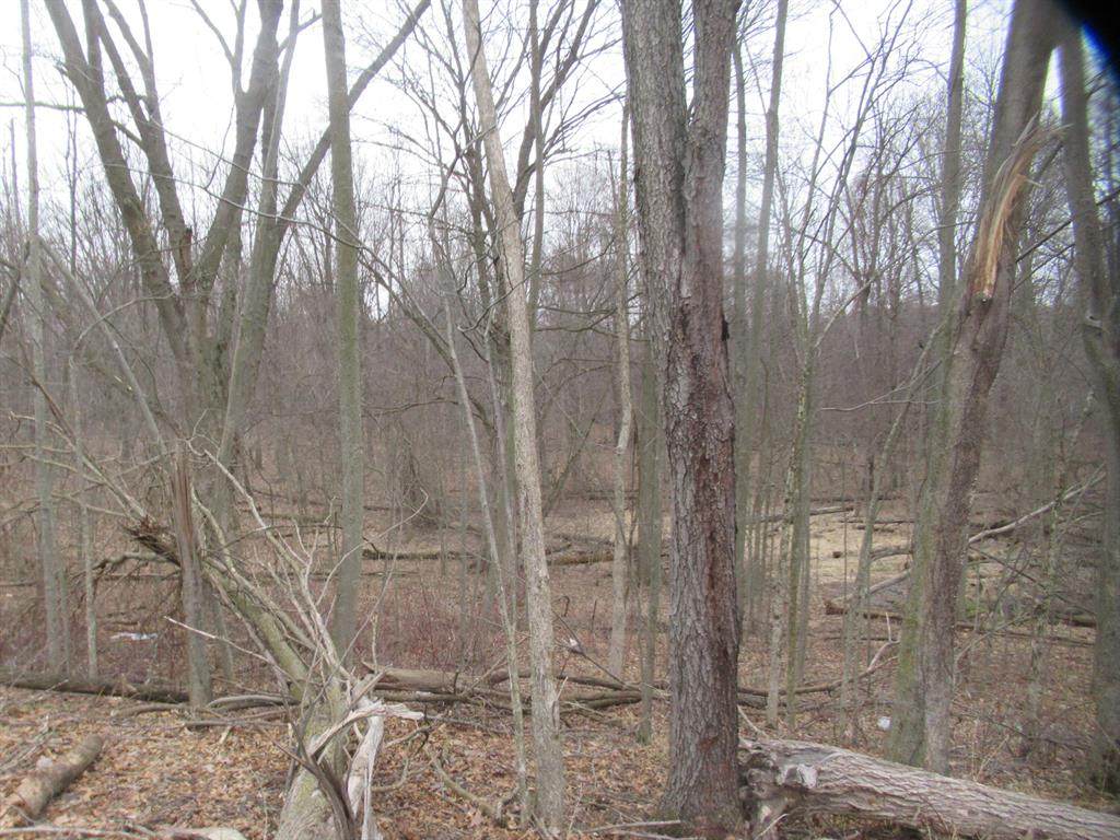 https://bt-photos.global.ssl.fastly.net/michigan/orig_boomver_1_652046213-2.jpg