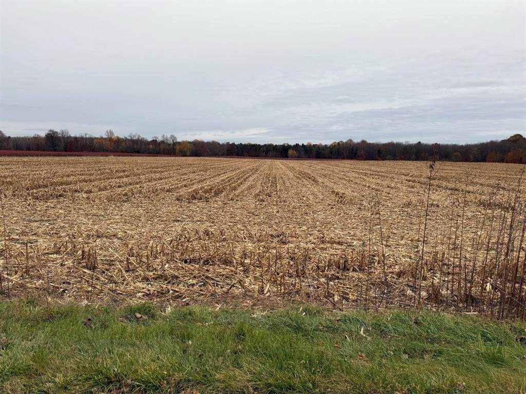 VL 2ac. County Road 687 - Photo 1