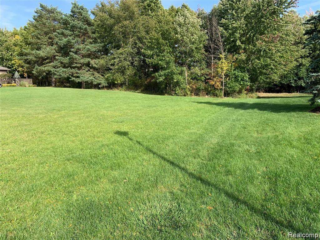 https://bt-photos.global.ssl.fastly.net/michigan/orig_boomver_1_652050931-2.jpg