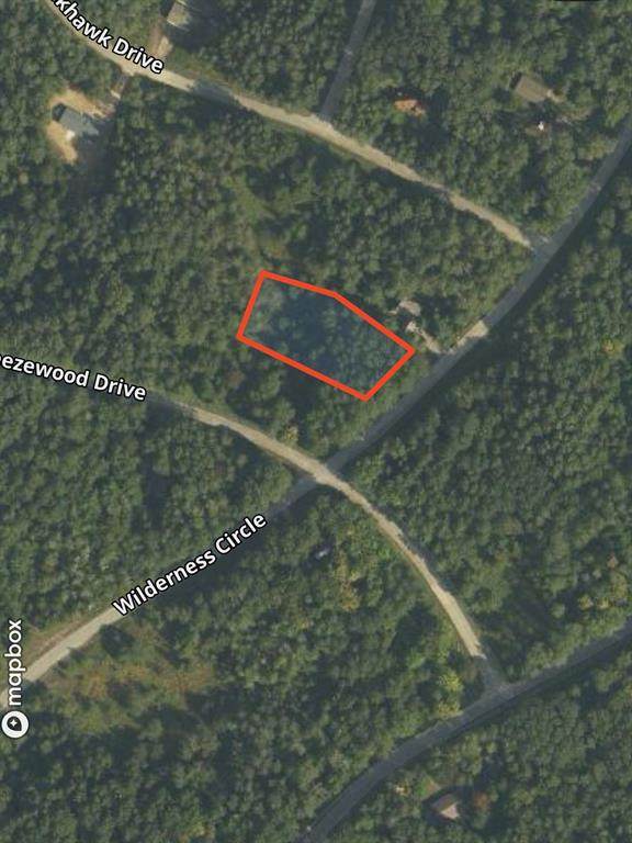 Lot 35 Wilderness Drive - Photo 1