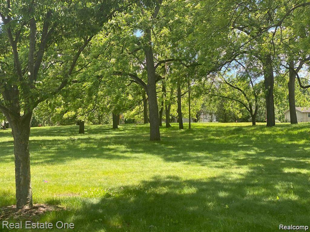 https://bt-photos.global.ssl.fastly.net/michigan/orig_boomver_1_652081548-2.jpg