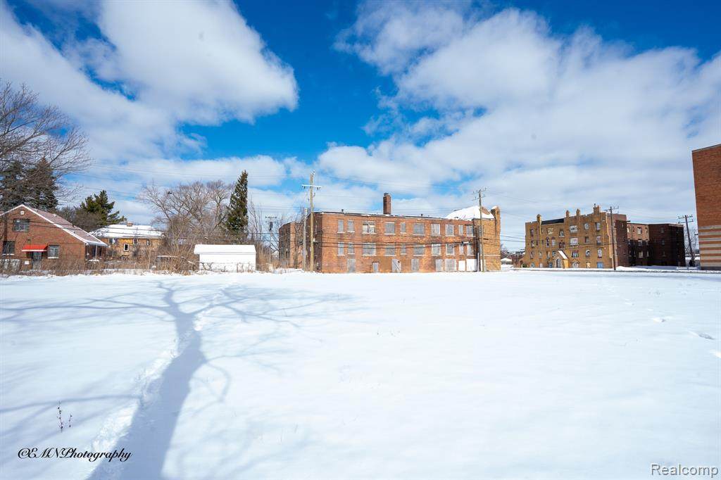 13523 Greiner Street - Photo 1