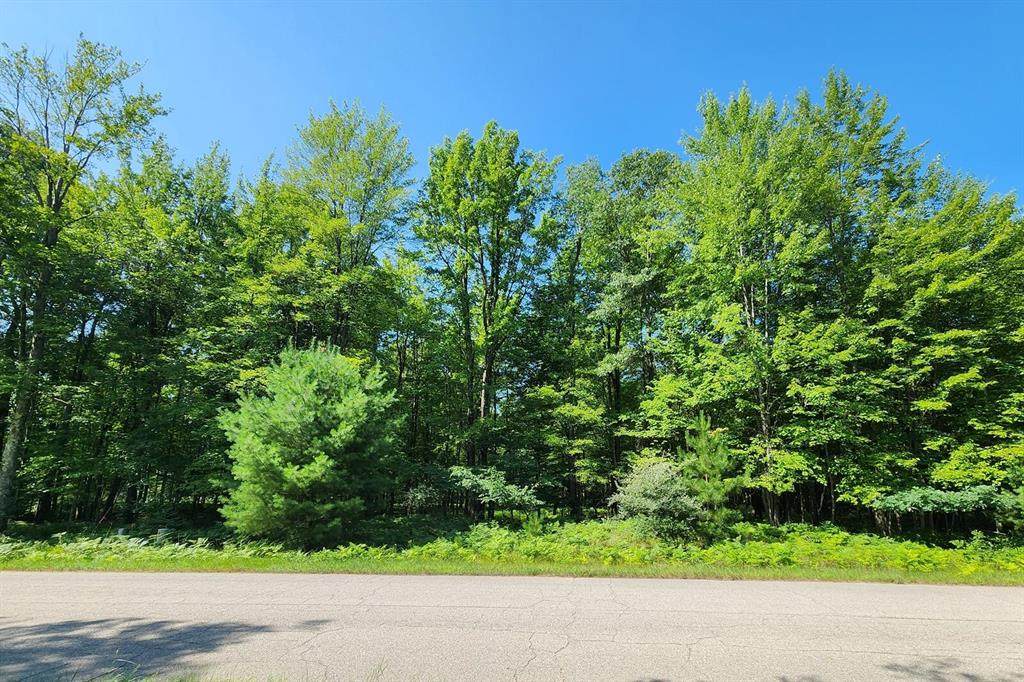 6127 Fawn Lake Drive - Photo 1