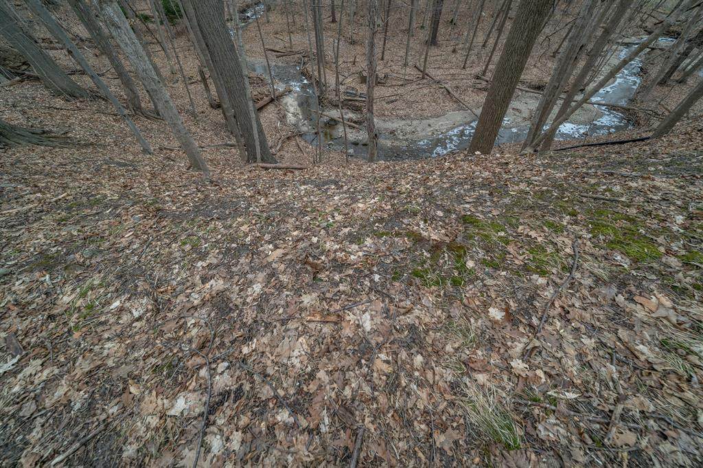 https://bt-photos.global.ssl.fastly.net/michigan/orig_boomver_1_652846694-2.jpg
