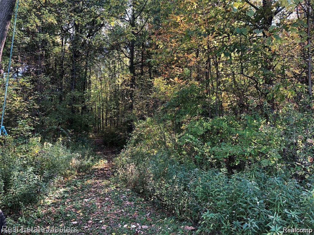 https://bt-photos.global.ssl.fastly.net/michigan/orig_boomver_1_652939225-2.jpg