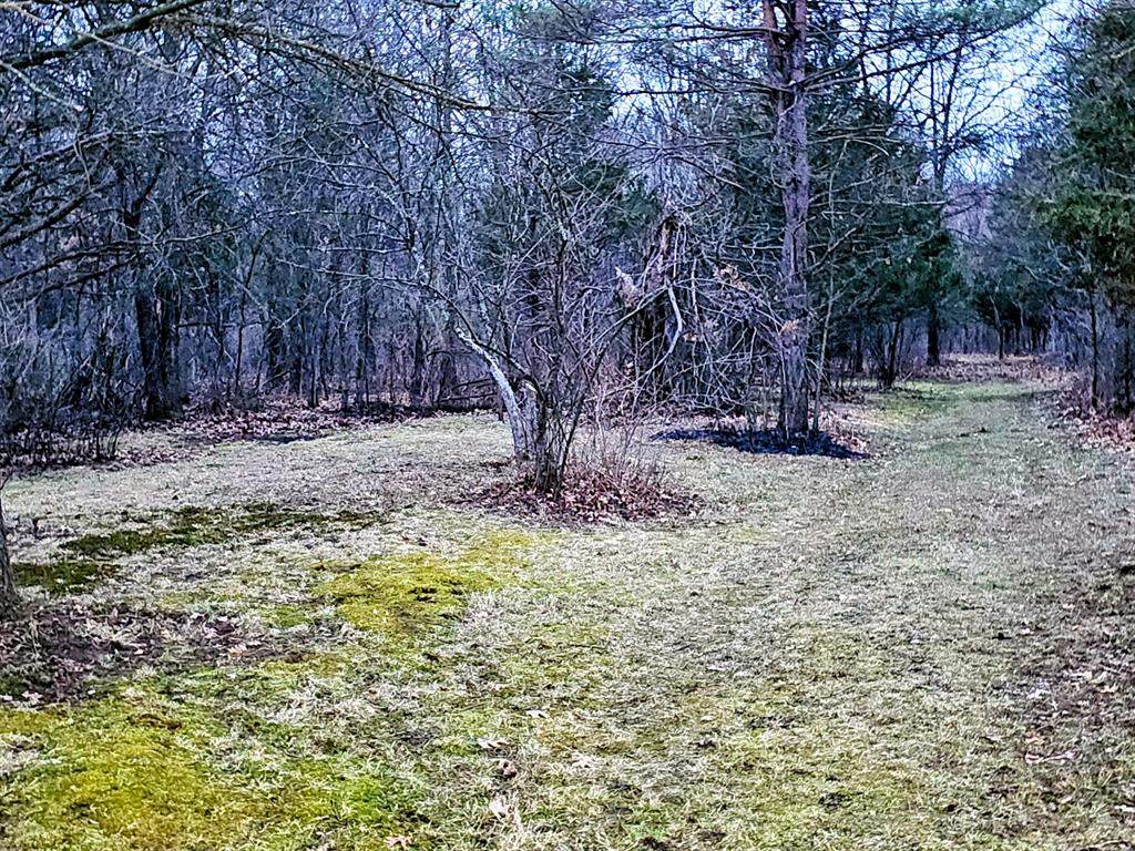 https://bt-photos.global.ssl.fastly.net/michigan/orig_boomver_2_652939654-2.jpg