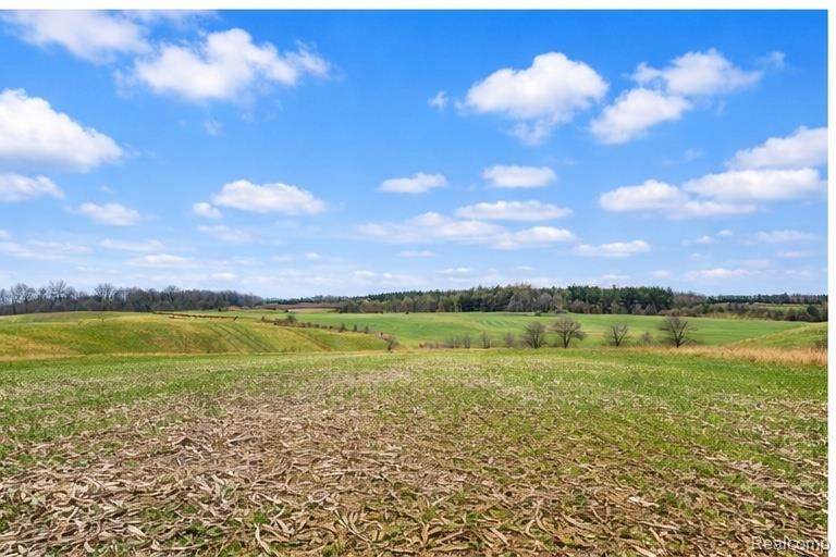 00 Sanilac Rd - Photo 1