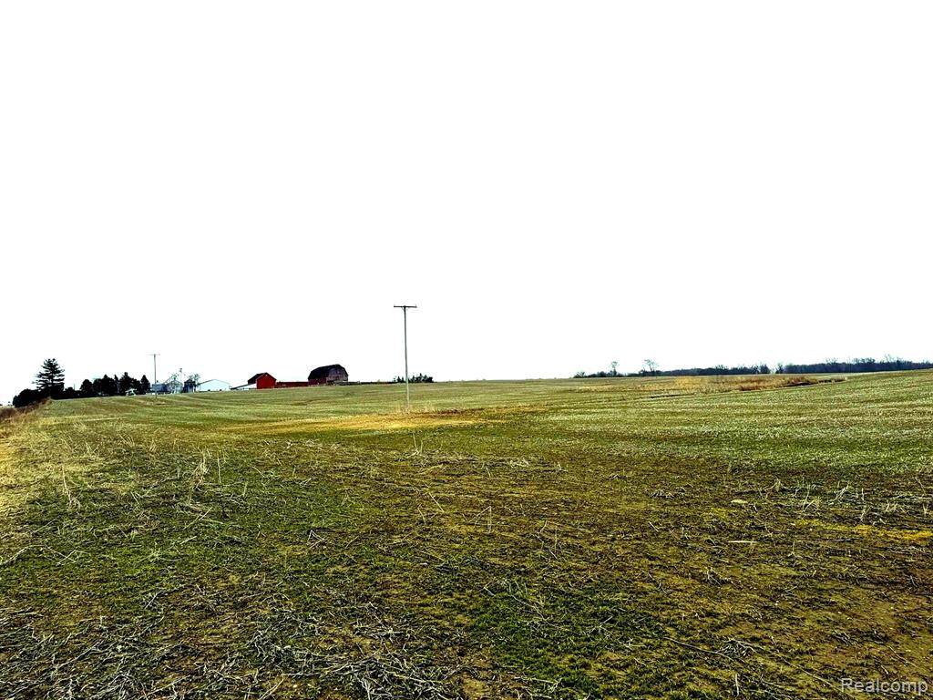https://bt-photos.global.ssl.fastly.net/michigan/orig_boomver_1_653378949-2.jpg