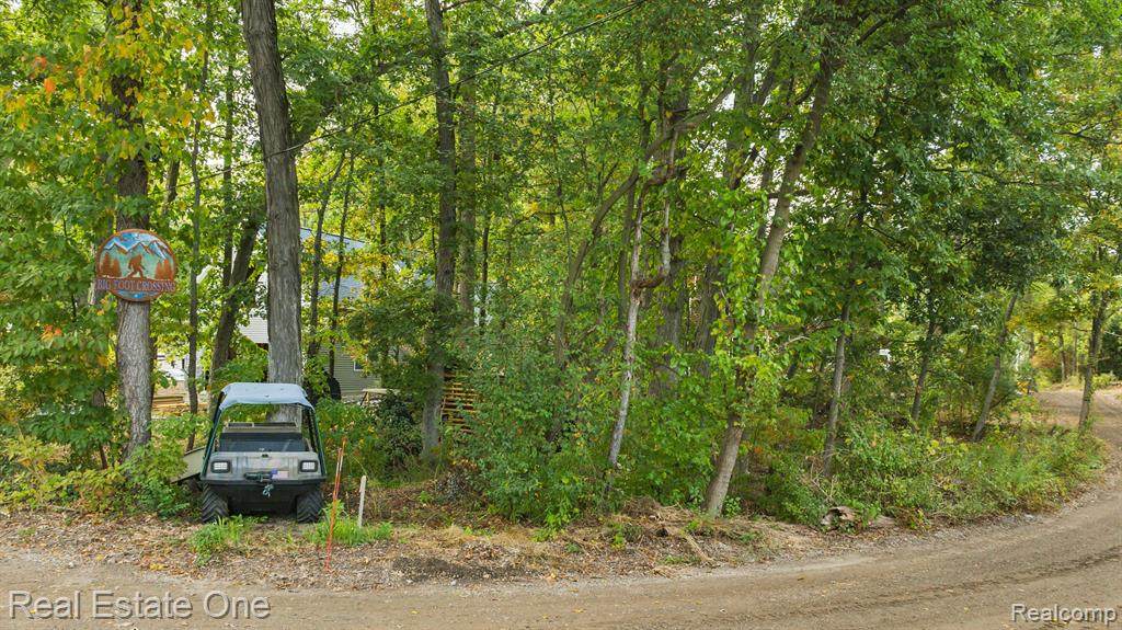 000 Canyon Drive - Photo 1