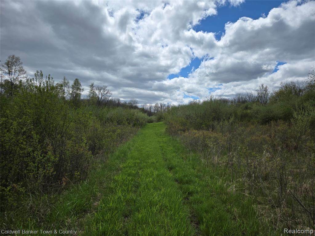00000 E Northfield Church Road - Photo 1