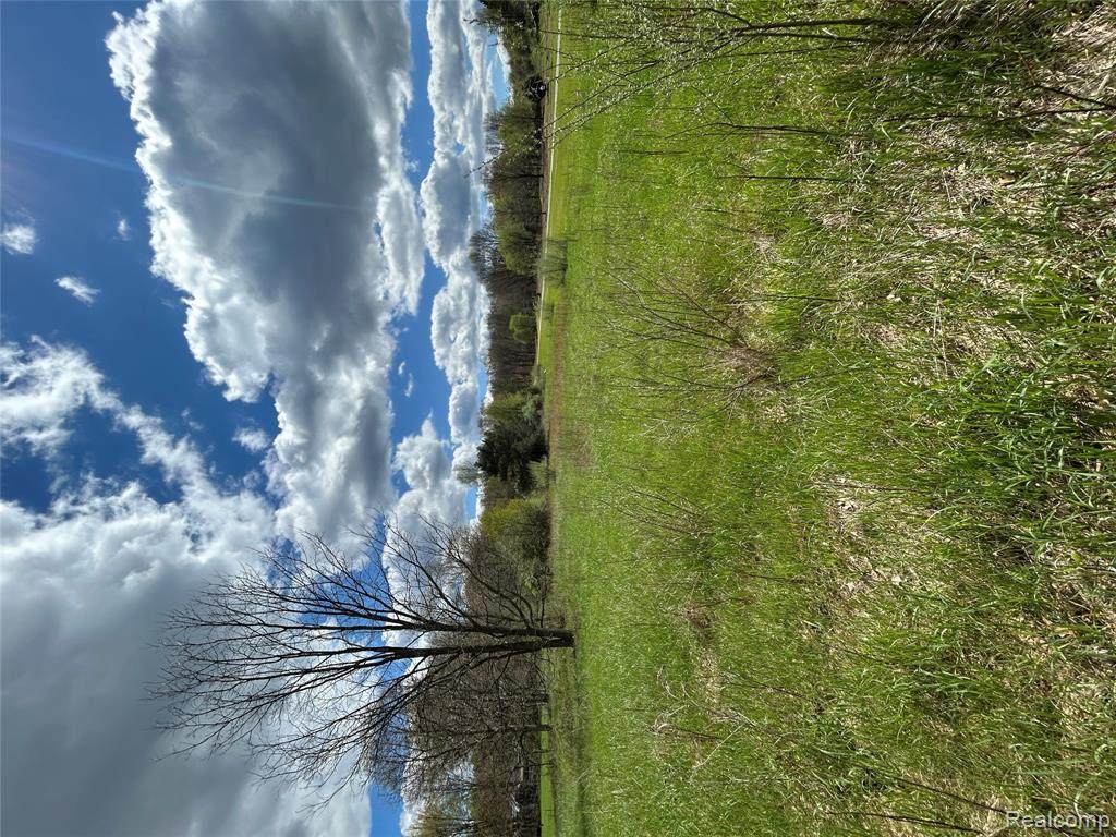Parcel 2 E Coon Lake Rd - Photo 1
