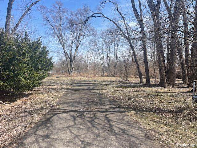 10769 Birch Street - Photo 1