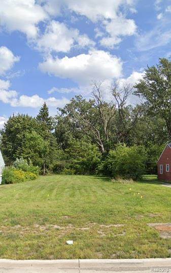 6221 Inkster Road - Photo 1