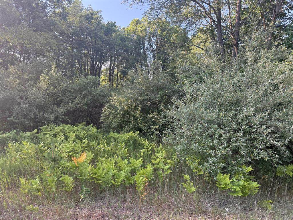 https://bt-photos.global.ssl.fastly.net/michigan/orig_boomver_1_663533375-2.jpg