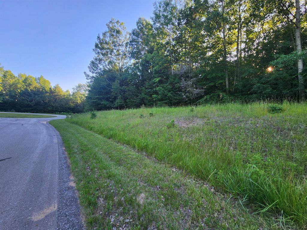 9500 Moon Ridge Road - Photo 1