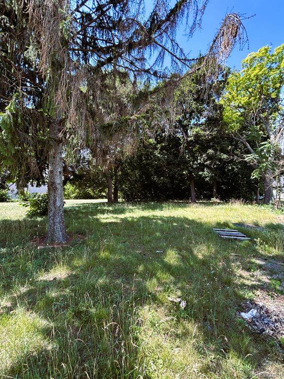 1008 Ann Arbor Street - Photo 1