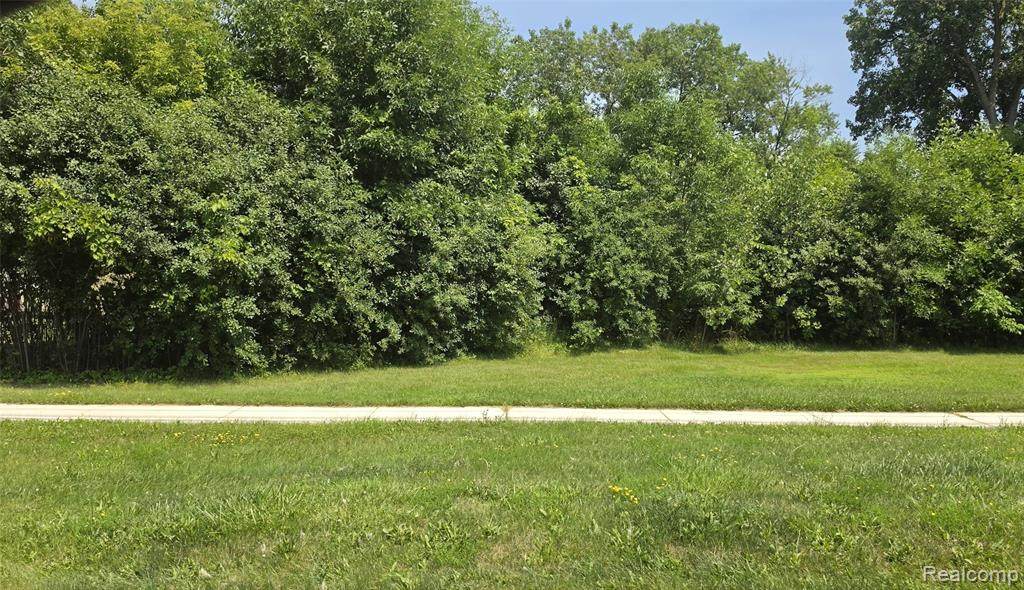 39668 Dequindre Road - Photo 1