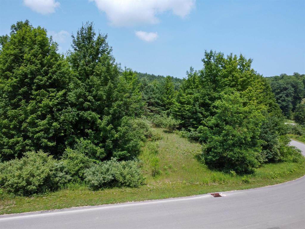 Lot 61 Skye Hill Drive - Photo 1