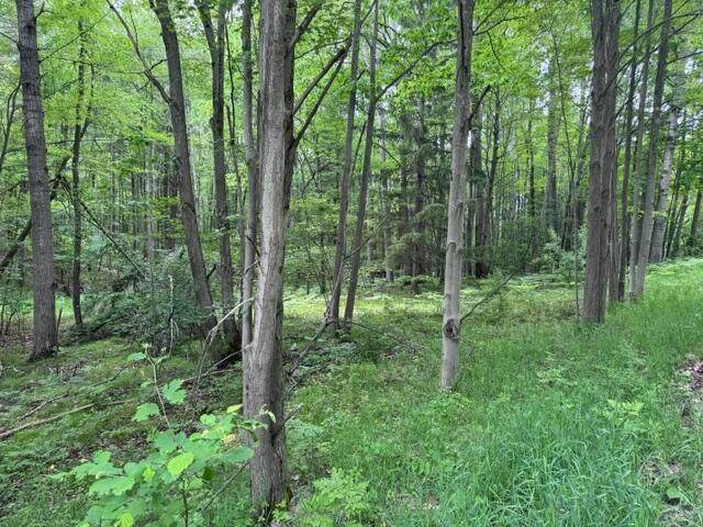 142 Hills Circle - Photo 1