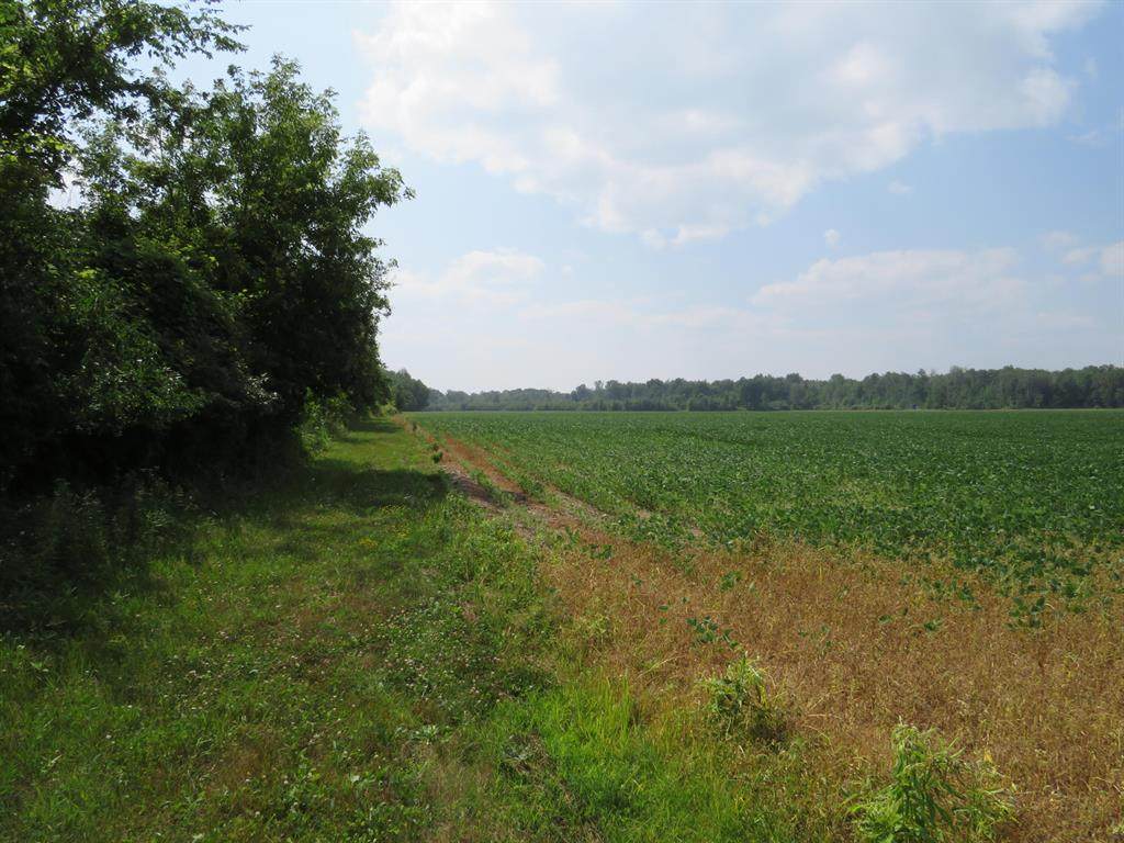 https://bt-photos.global.ssl.fastly.net/michigan/orig_boomver_1_663725757-2.jpg