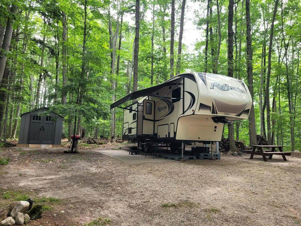 257 Forest Trail - Photo 1