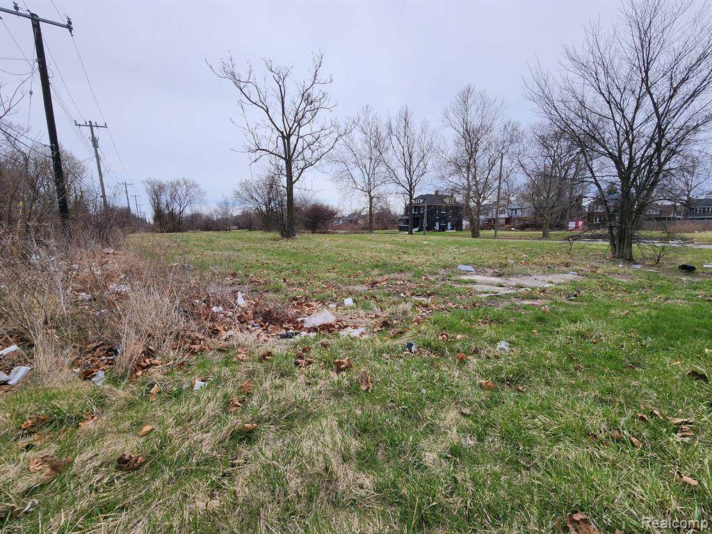 952 Kitchener Street - Photo 1