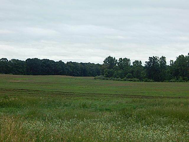 https://bt-photos.global.ssl.fastly.net/michigan/orig_boomver_1_663743838-2.jpg