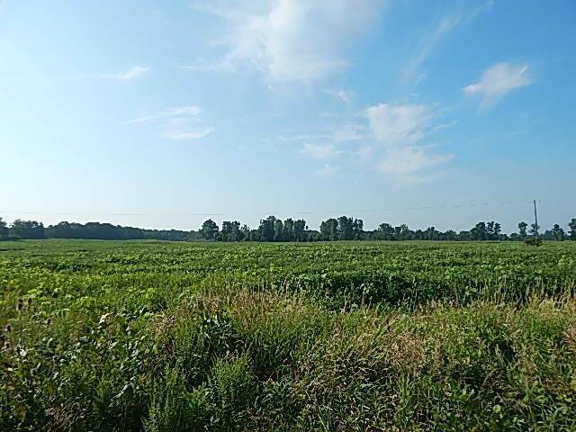 https://bt-photos.global.ssl.fastly.net/michigan/orig_boomver_1_663743838-2.jpg