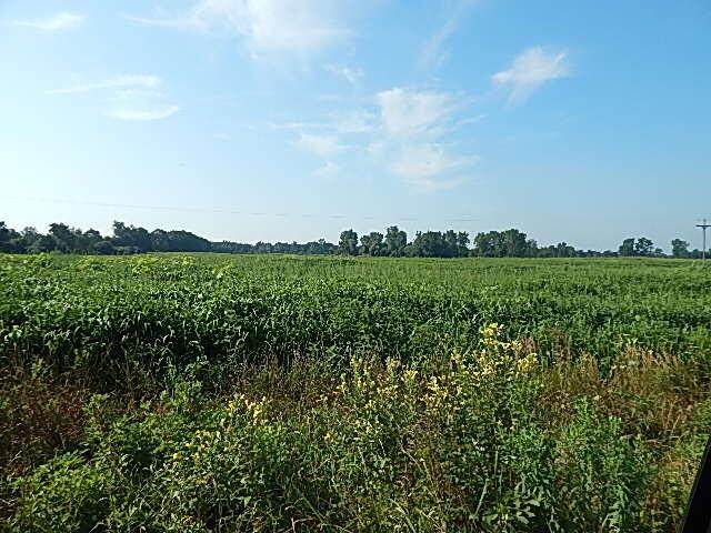 https://bt-photos.global.ssl.fastly.net/michigan/orig_boomver_1_663743838-2.jpg
