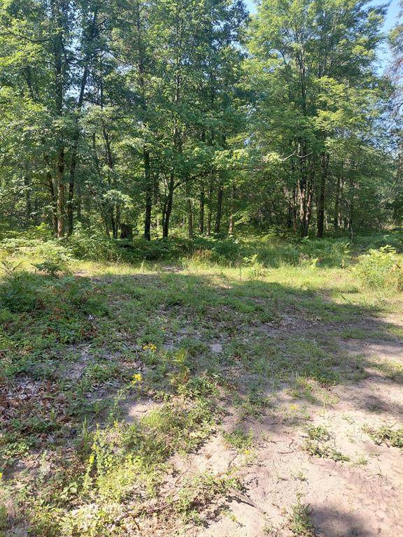 2807 Evergreen Drive - Photo 1