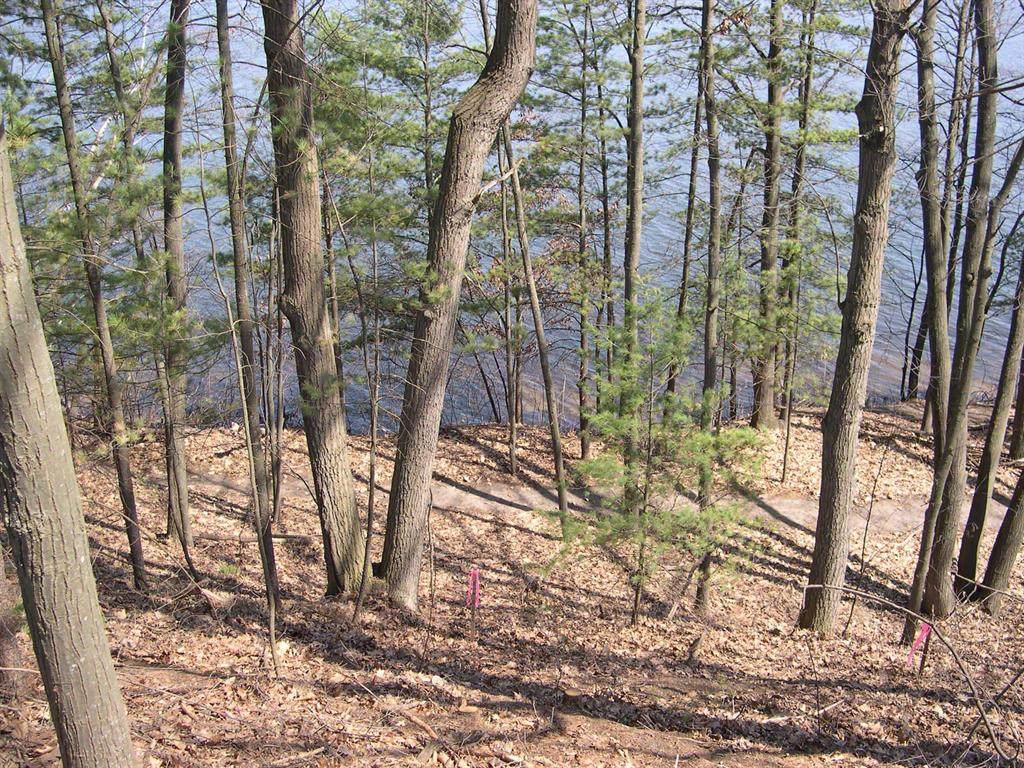 1597 Edgewater Ridge - Photo 1