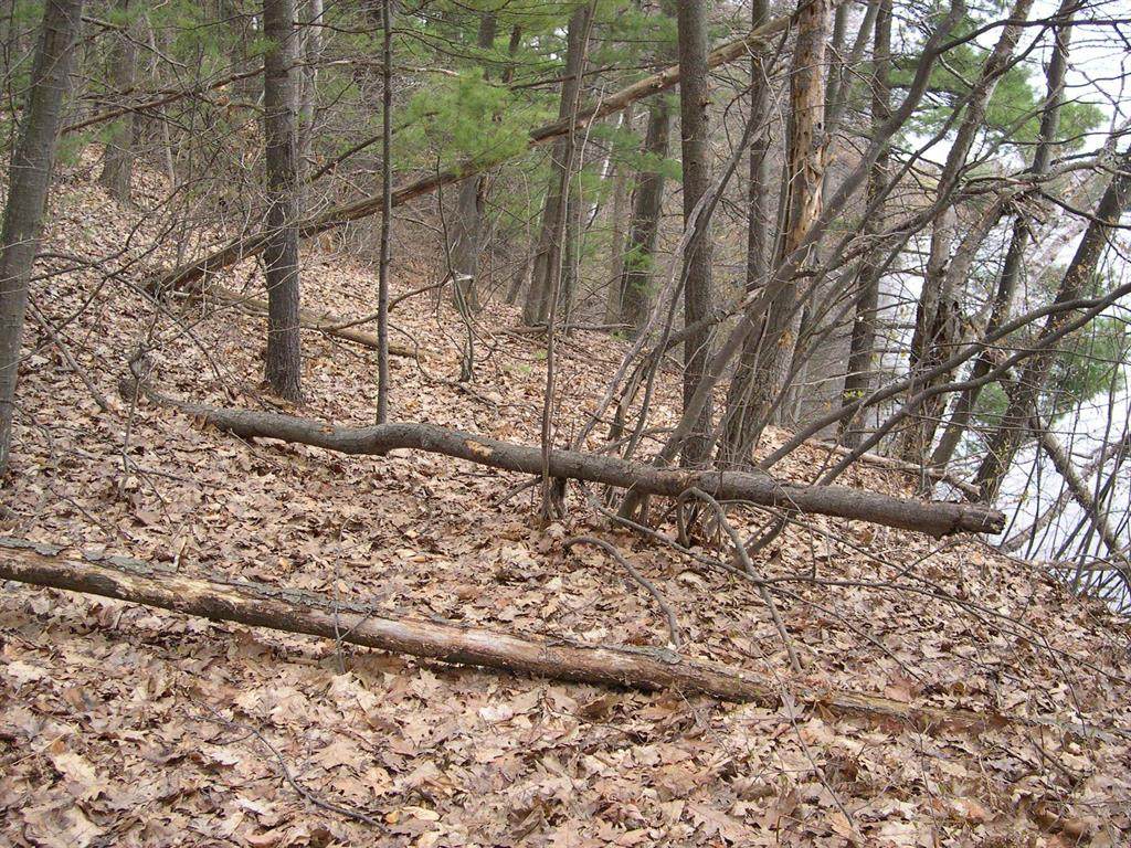 https://bt-photos.global.ssl.fastly.net/michigan/orig_boomver_1_663763328-2.jpg