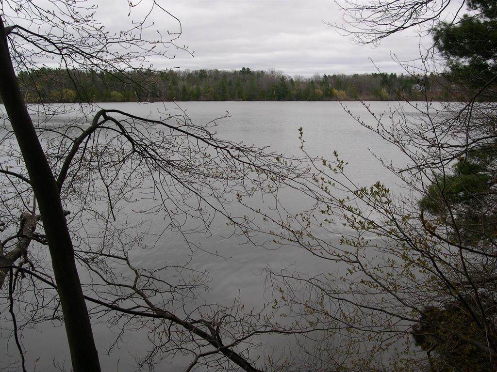 1589 Edgewater Ridge - Photo 1