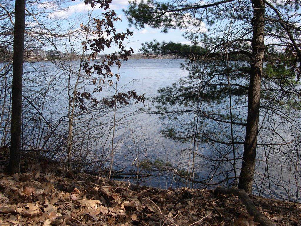 https://bt-photos.global.ssl.fastly.net/michigan/orig_boomver_1_663795125-2.jpg