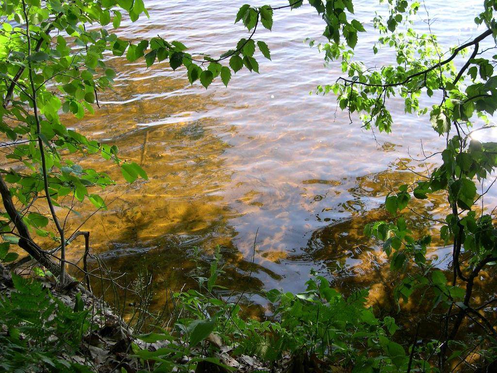 https://bt-photos.global.ssl.fastly.net/michigan/orig_boomver_1_663795125-2.jpg