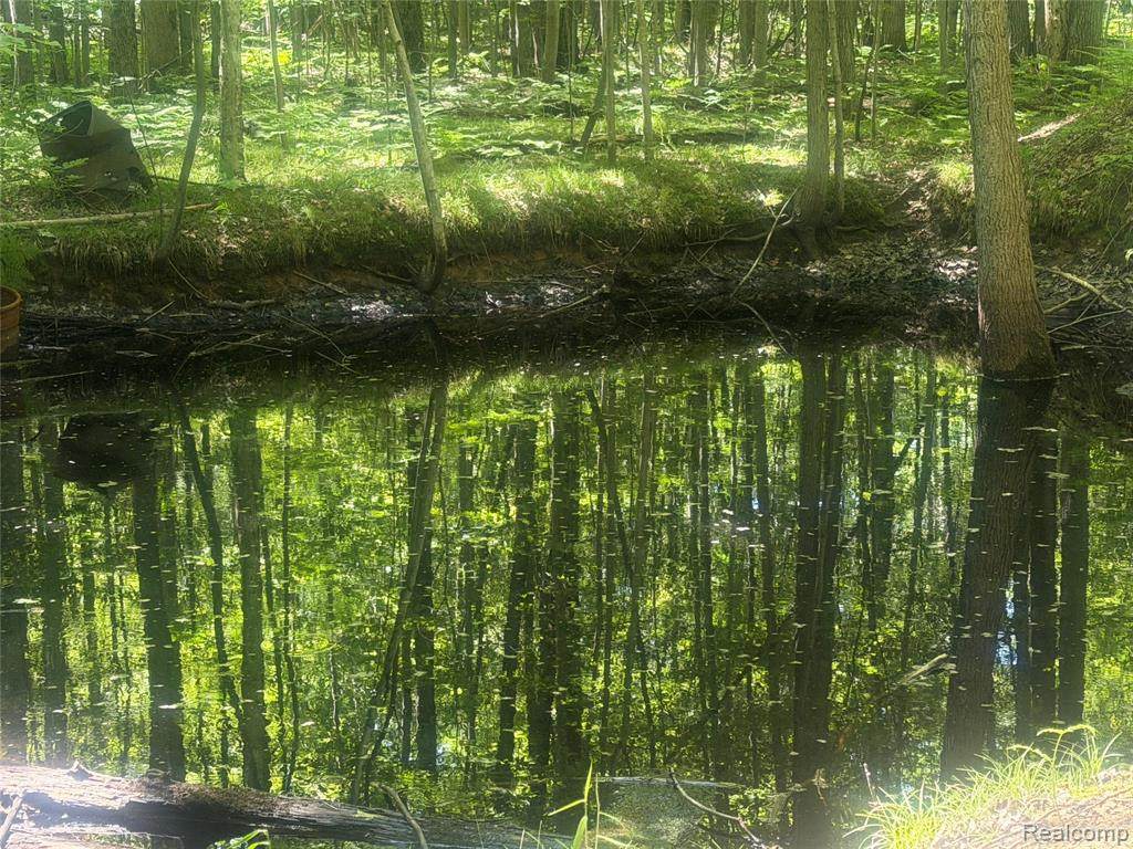 https://bt-photos.global.ssl.fastly.net/michigan/orig_boomver_1_663830468-2.jpg