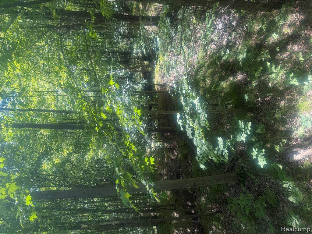 https://bt-photos.global.ssl.fastly.net/michigan/orig_boomver_1_663830468-2.jpg
