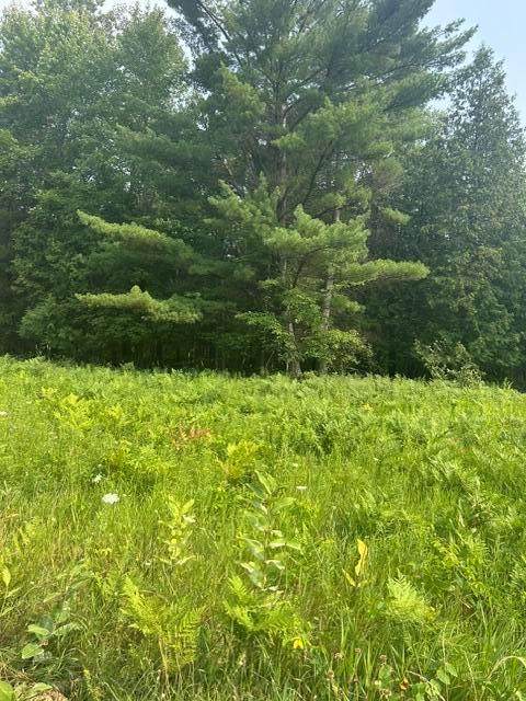 https://bt-photos.global.ssl.fastly.net/michigan/orig_boomver_3_663843739-2.jpg