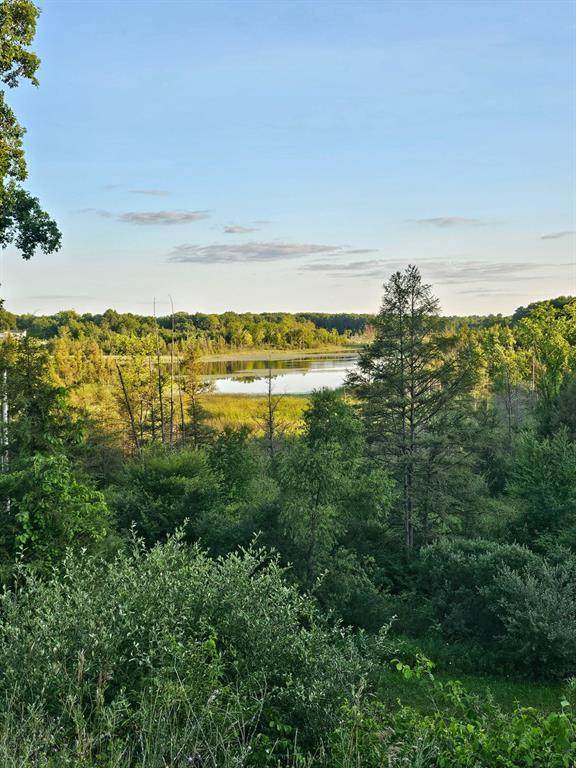 5464 Clear Lake Road - Photo 1