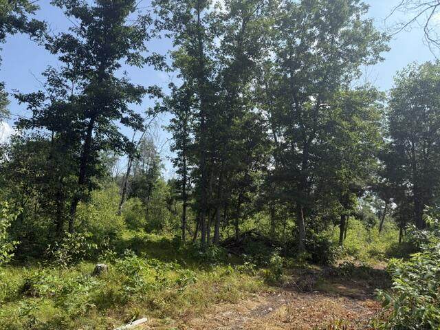 7760 Merrillville Road - Photo 1