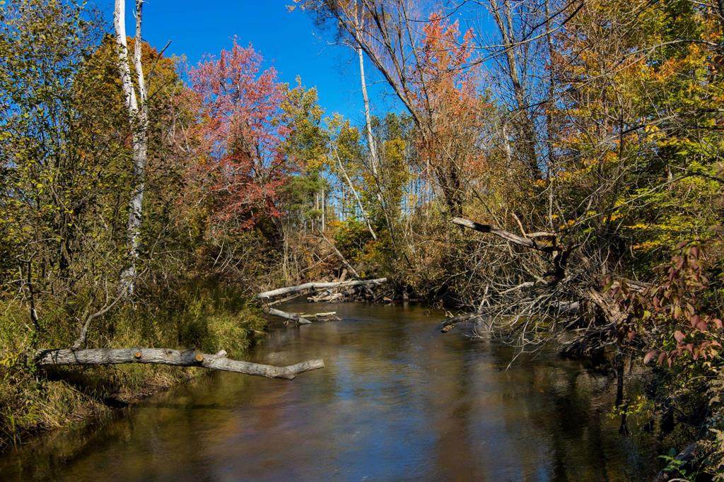 Parcels A Wild River Way - Photo 1